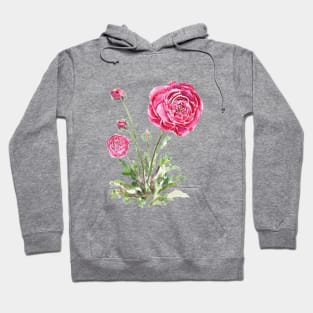 red Ranunculus watercolor Hoodie